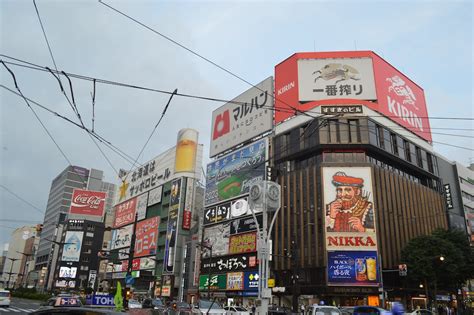 すすきの 遊び場: 都市の夜と自然の交差点